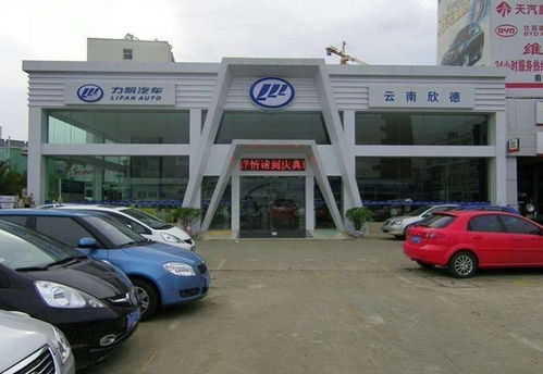 車主請擦亮眼睛 近年五大汽車銷售公司跑路案件，新車秒變“黑車”